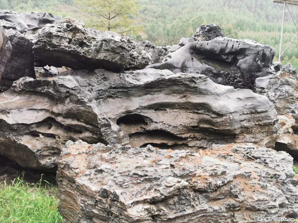 风景石、假山石大量有货，有需要的欢迎联系 - 新手上路 - 佛山生活社区 - 佛山28生活网 fs.28life.net