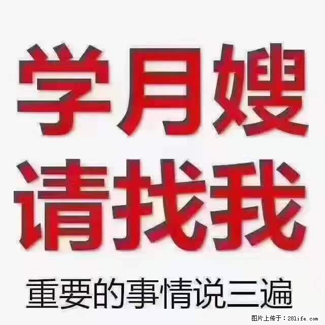 为什么要学习月嫂，育婴师？ - 其他广告 - 广告专区 - 佛山分类信息 - 佛山28生活网 fs.28life.net