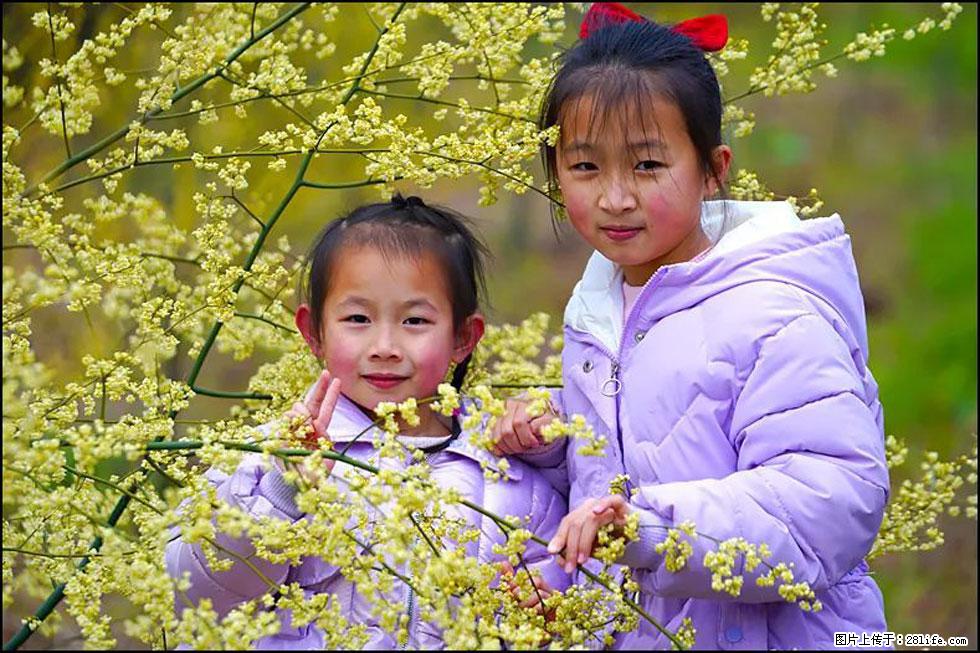 【春天，广西桂林灌阳县向您发出邀请！】米珠山前有片山苍子花在飘香 - 游山玩水 - 佛山生活社区 - 佛山28生活网 fs.28life.net