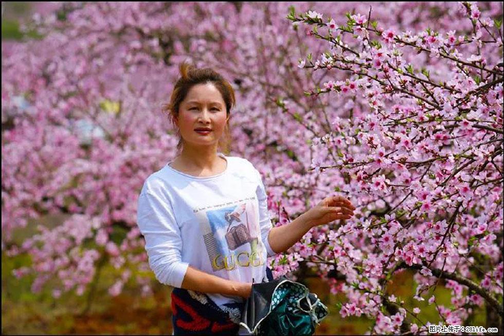 【春天，广西桂林灌阳县向您发出邀请！】官庄村有个醉美的桃花园 - 游山玩水 - 佛山生活社区 - 佛山28生活网 fs.28life.net