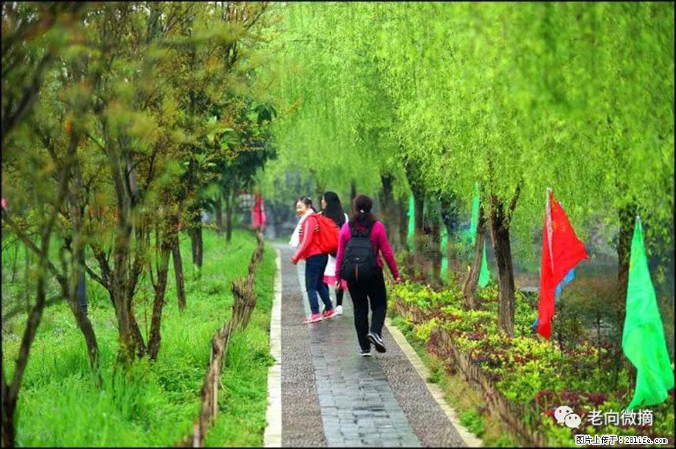 【春天，广西桂林灌阳县向您发出邀请！】江口老街又逢春 - 游山玩水 - 佛山生活社区 - 佛山28生活网 fs.28life.net