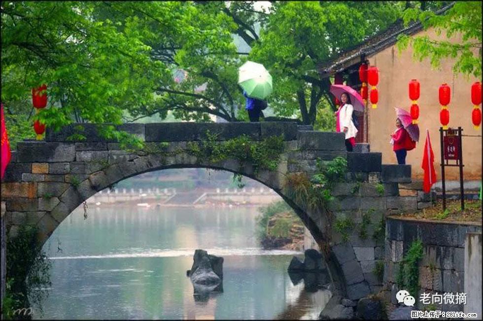 【春天，广西桂林灌阳县向您发出邀请！】江口老街又逢春 - 游山玩水 - 佛山生活社区 - 佛山28生活网 fs.28life.net