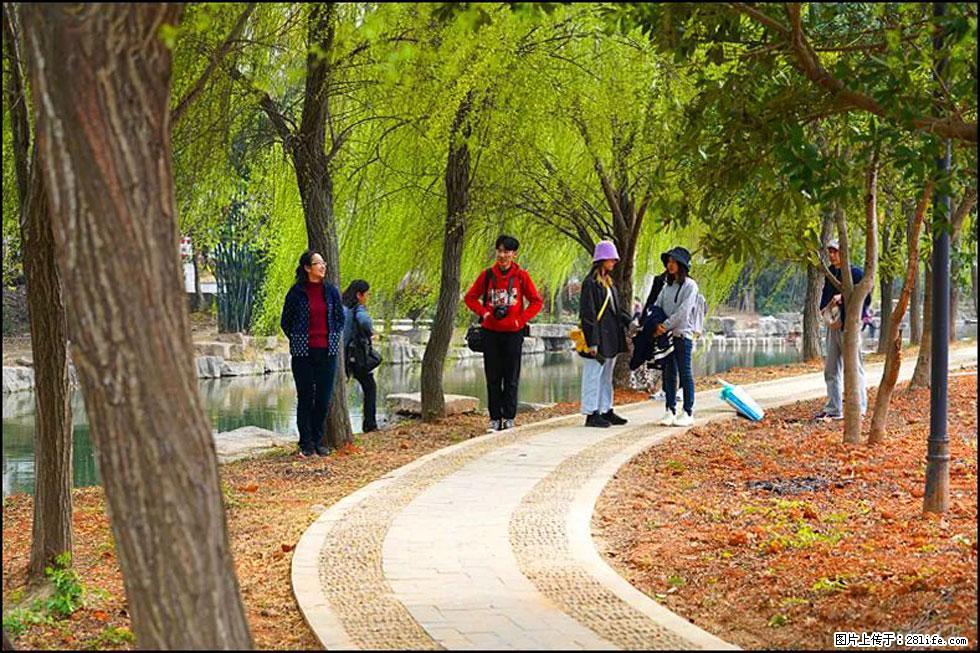 【春天，广西桂林灌阳县向您发出邀请！】江口老街又逢春 - 游山玩水 - 佛山生活社区 - 佛山28生活网 fs.28life.net