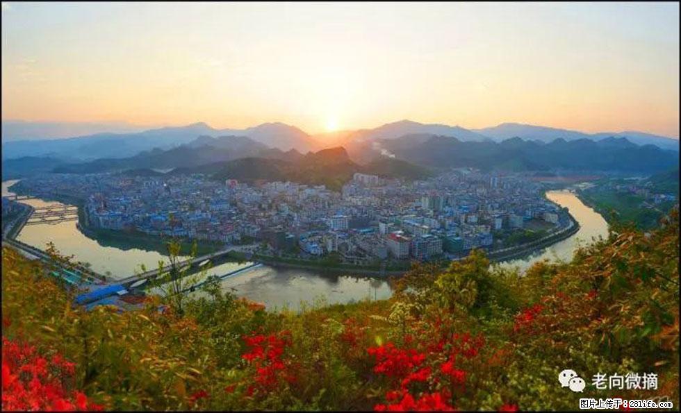 【春天，广西桂林灌阳县向您发出邀请！】登麒麟山，相约映山红 - 游山玩水 - 佛山生活社区 - 佛山28生活网 fs.28life.net