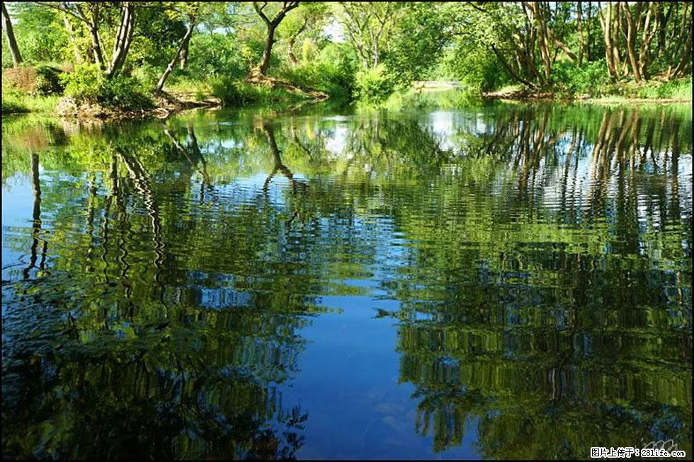 【春天，广西桂林灌阳县向您发出邀请！】熊家寨湿地公园 - 游山玩水 - 佛山生活社区 - 佛山28生活网 fs.28life.net
