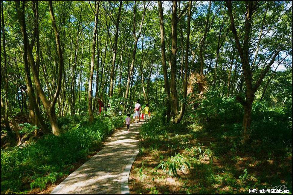 【春天，广西桂林灌阳县向您发出邀请！】熊家寨湿地公园 - 游山玩水 - 佛山生活社区 - 佛山28生活网 fs.28life.net