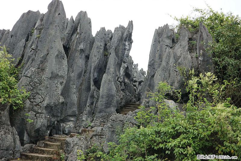 桂林旅游名城景点：灌阳文市石林 - 游山玩水 - 佛山生活社区 - 佛山28生活网 fs.28life.net