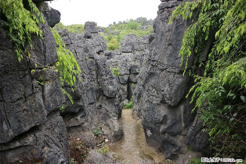 桂林旅游名城景点：灌阳文市石林 - 游山玩水 - 佛山生活社区 - 佛山28生活网 fs.28life.net