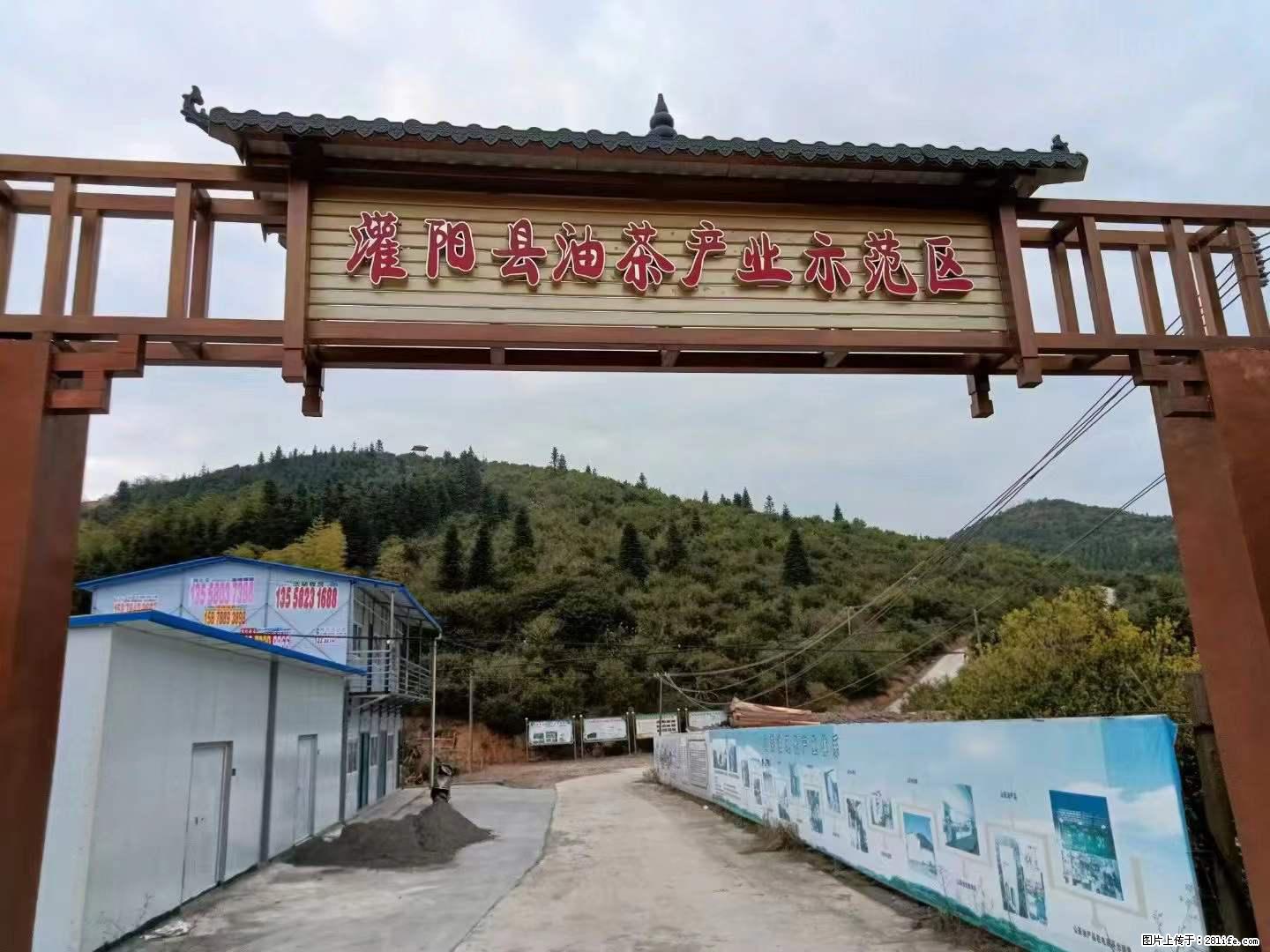 【灌阳县油茶产业示范区】一个有着充实的精神生活的人，对待身外之物自会有一种淡泊的态度 - 美食天地 - 佛山生活社区 - 佛山28生活网 fs.28life.net