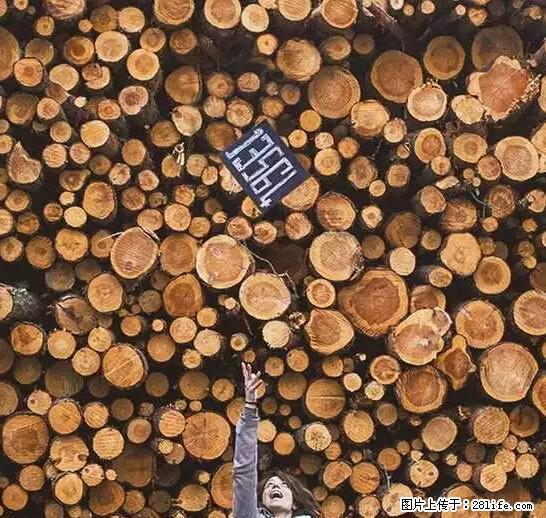 辞掉工作周游世界？现在他们在洗厕所…… - 游山玩水 - 佛山生活社区 - 佛山28生活网 fs.28life.net