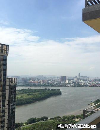 大良新城区 金域滨江 精装修3房 拎包入住 3600元 - 房屋出租 - 房屋租售 - 佛山分类信息 - 佛山28生活网 fs.28life.net