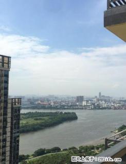 大良新城区 金域滨江 精装修3房 拎包入住 3600元 - 佛山28生活网 fs.28life.net