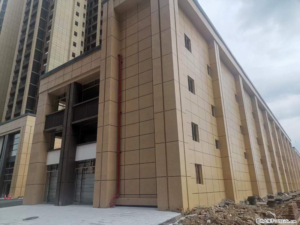 【广西三象建筑安装工程有限公司】外墙涂料工程 - 新手上路 - 佛山生活社区 - 佛山28生活网 fs.28life.net