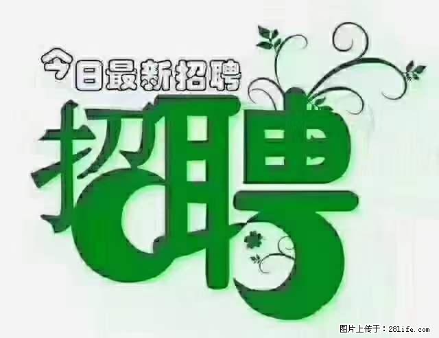 上海隔离酒店招人：55岁以下 男女不限 - 职场交流 - 佛山生活社区 - 佛山28生活网 fs.28life.net