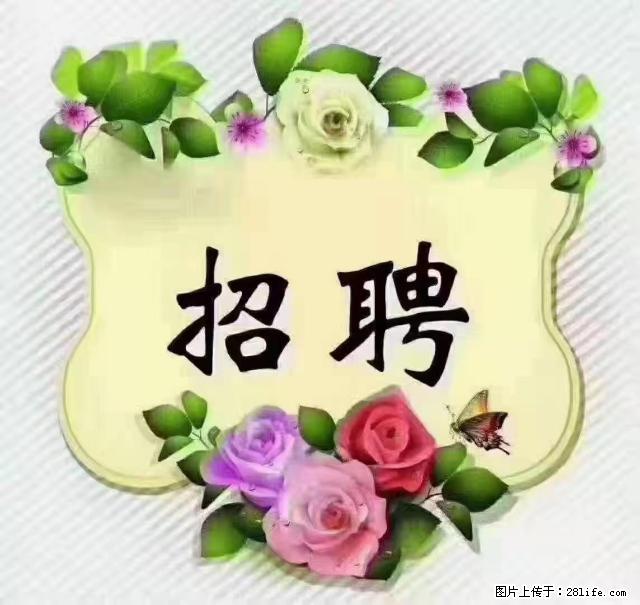 【招聘】住家育儿嫂，上户日期：4月4日，工作地址：上海 黄浦区 - 职场交流 - 佛山生活社区 - 佛山28生活网 fs.28life.net