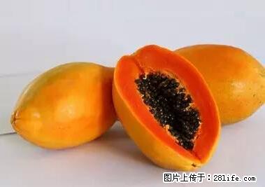 晕车、脚气、牙齿变黄、皮肤粗糙？学会这些三分钟搞定！ - 佛山生活资讯 - 佛山28生活网 fs.28life.net