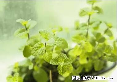 晕车、脚气、牙齿变黄、皮肤粗糙？学会这些三分钟搞定！ - 佛山生活资讯 - 佛山28生活网 fs.28life.net