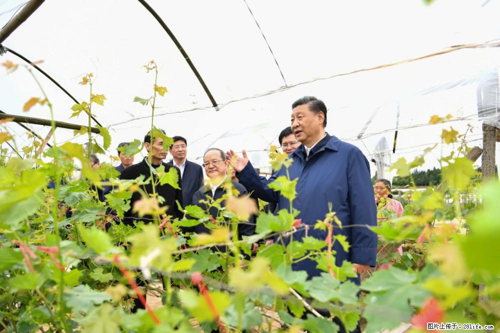 习近平赴广西考察调研 - 佛山生活资讯 - 佛山28生活网 fs.28life.net