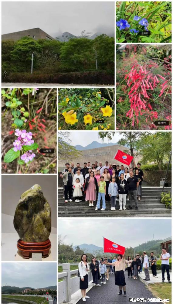 “粤灌文化 美好生活”油茶文化主题活动在广东深圳成功举办 - 佛山生活资讯 - 佛山28生活网 fs.28life.net