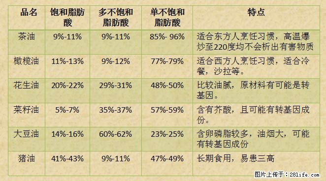 揭秘茶油的5大核心营养成分！被称为人体健康的“守护盾”！ - 佛山生活资讯 - 佛山28生活网 fs.28life.net