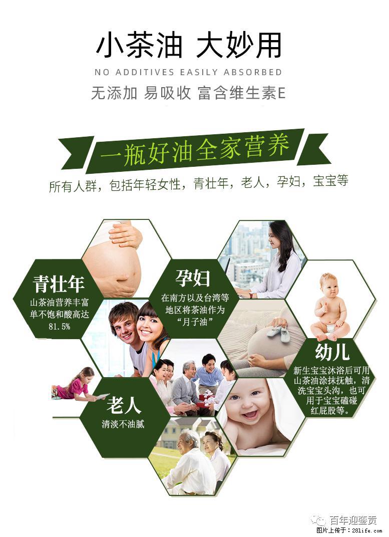 世界没有真相，只有认知，最好的食用油是中国的山茶油！ - 佛山生活资讯 - 佛山28生活网 fs.28life.net