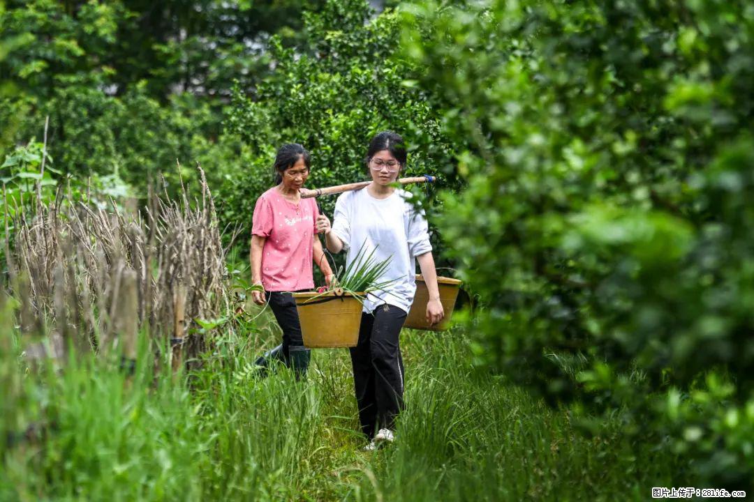 全网追的“扁担女孩”，找了一份暑假工，时薪12元 - 佛山生活资讯 - 佛山28生活网 fs.28life.net