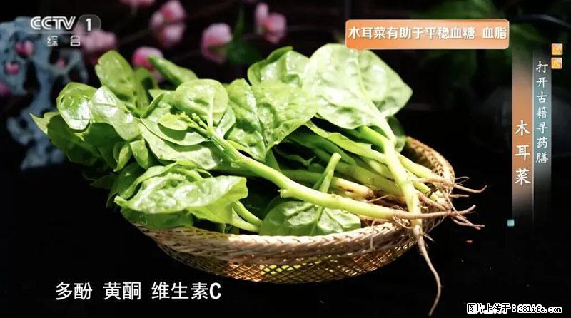 比牛奶补钙还厉害！凉血解毒、稳血糖...这菜冬天必吃，很多人却当草 - 佛山生活资讯 - 佛山28生活网 fs.28life.net