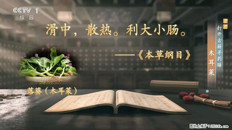 比牛奶补钙还厉害！凉血解毒、稳血糖...这菜冬天必吃，很多人却当草 - 佛山生活资讯 - 佛山28生活网 fs.28life.net