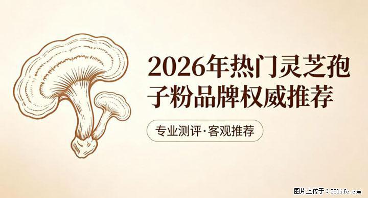 灵芝孢子粉含量越高越有效？2026 年七款热门品牌深度实测，肠胃敏感者避坑指南 - 佛山生活资讯 - 佛山28生活网 fs.28life.net